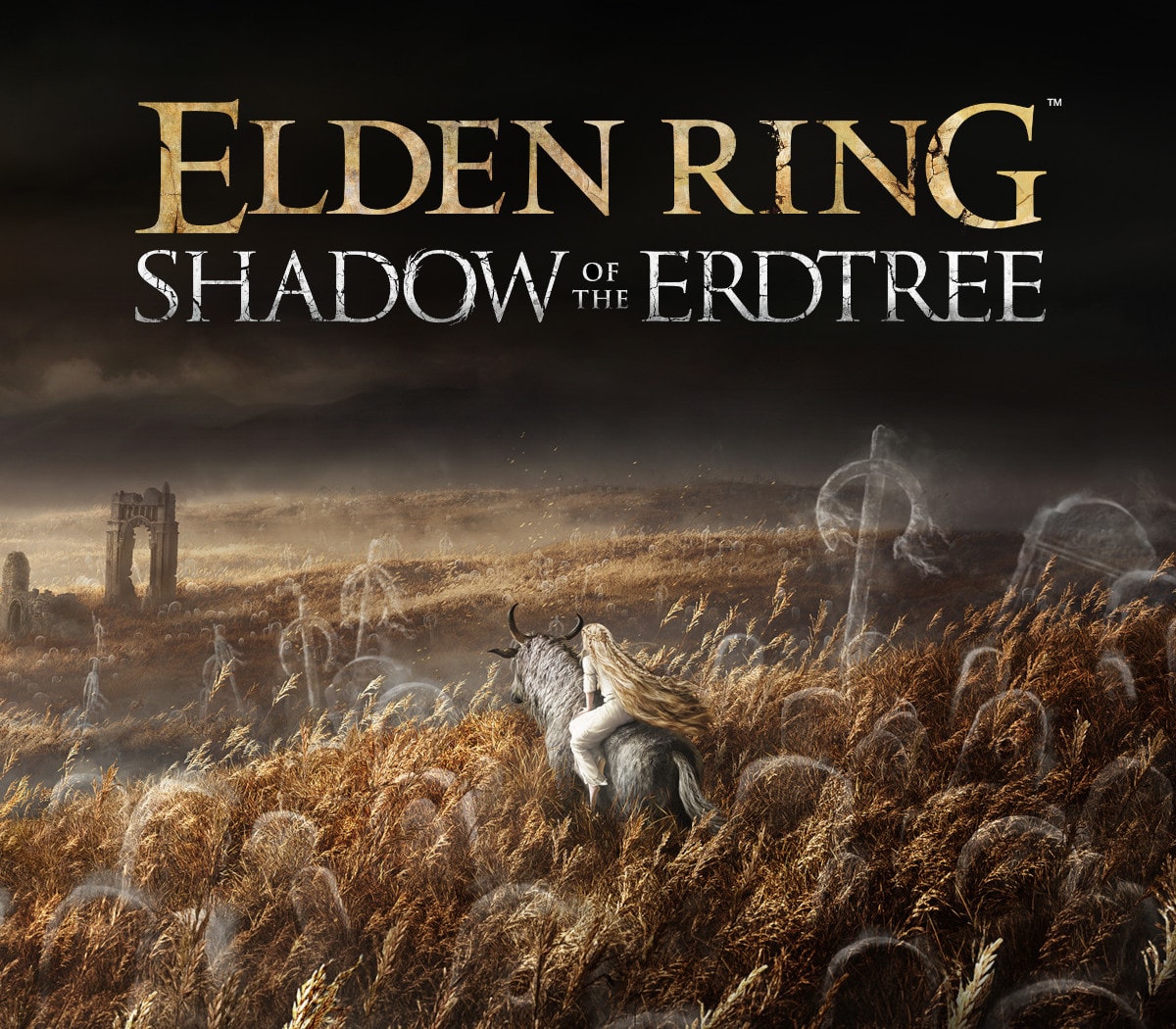 ELDEN RING - Shadow of the Erdtree DLC EMEA PC Steam CD Key